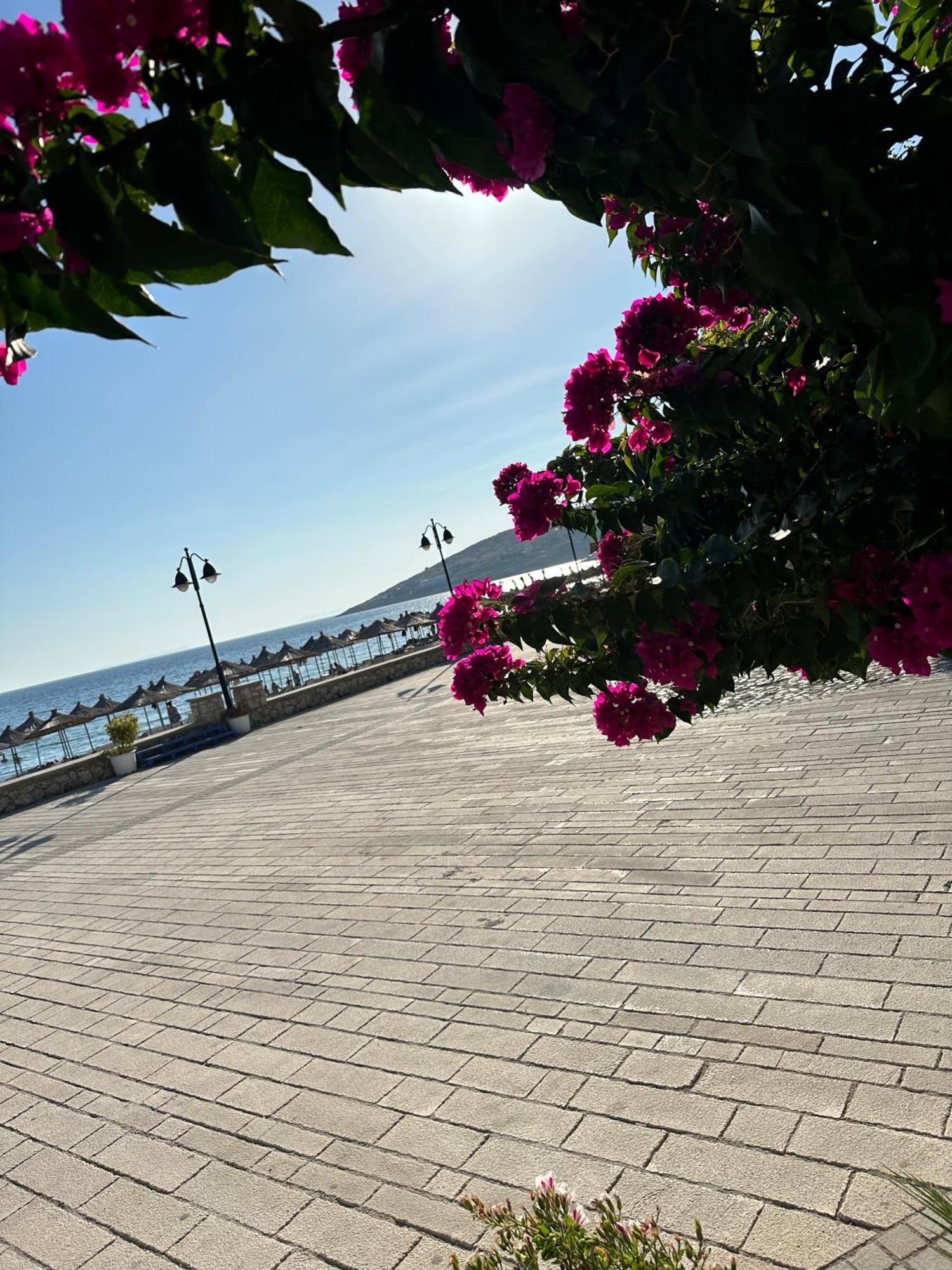 Villa Gjika Qeparo Dış mekan fotoğraf